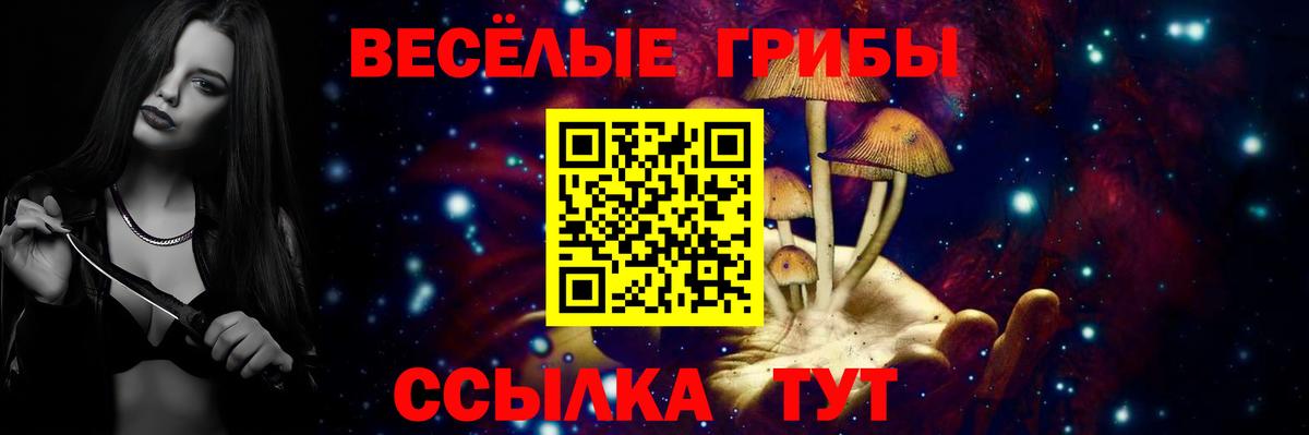 Псилоцибиновые грибы GOLDEN TEACHER Электросталь